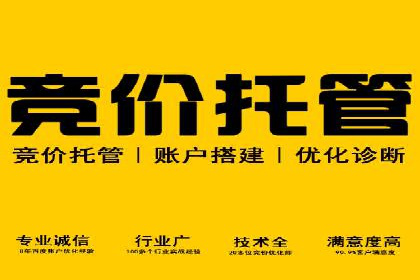 百度推广与SEO结合案例：提升网站排名的技巧